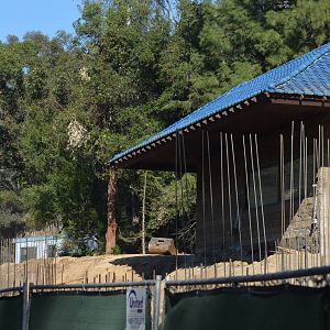 Rainforest of the Americas Construction Site - December 27, 2011