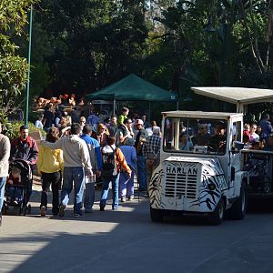 Zoo Crowd - December 27, 2011
