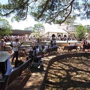 Queue for tickets at Midday