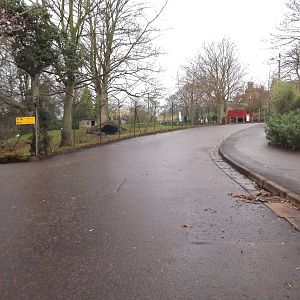 General view at Edinburgh Zoo 28/12/11