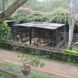 colombo zoo
