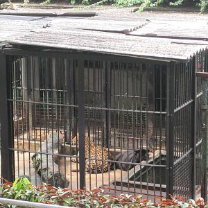 colombo zoo