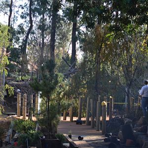 LAIR WALKWAY - December 27, 2011