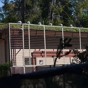 LAIR MAIN BUILDING - December 27, 2011