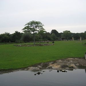 Leipzig Zoo - Savannah exhibit