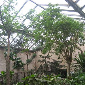 Leipzig Zoo - Bird house