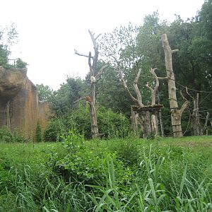 Leipzig Zoo - Pongoland (Orangutan outdoor)