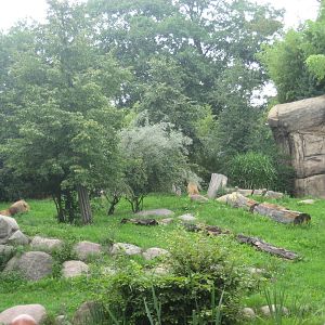 Leipzig Zoo - Lion exhibit