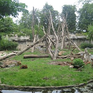 Leipzig Zoo - Bear/monkey exhibit