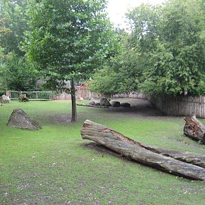 Prague Zoo - Tapir/capybara exhibit