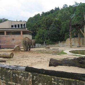 Prague Zoo - Elephant exhibit