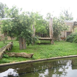 Prague Zoo - Tiger exhibit