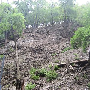 Prague Zoo - Mountain animals
