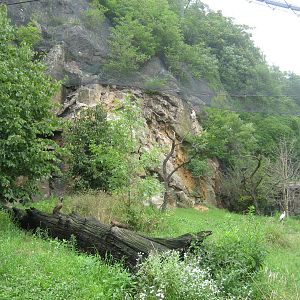 Prague Zoo - Big aviary