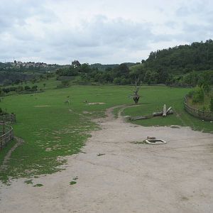 Prague Zoo - Savannah