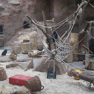 Prague Zoo - Gorilla indoor exhibit