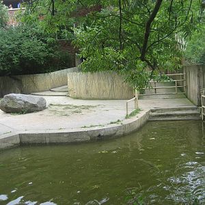 Prague Zoo - Hippo exhibit