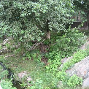 Helsinki Zoo - European otter exhibit