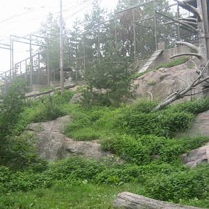 Helsinki Zoo - Snow leopard exhibit