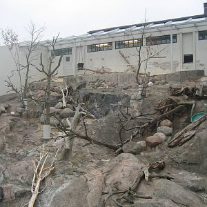 Helsinki Zoo - Baboon mountain
