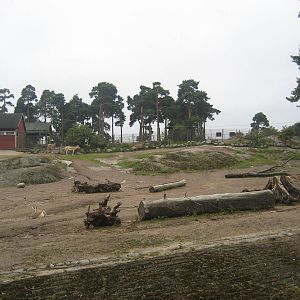 Helsinki Zoo - Onager/gazelle exhibit