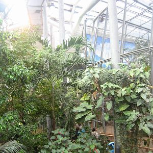 Helsinki Zoo - Amazonia house