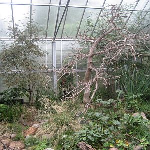 Helsinki Zoo - Borealia