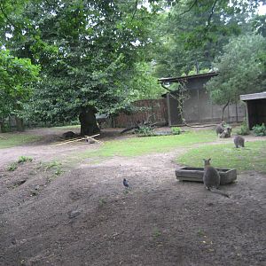 Helsinki Zoo - Australia exhibit