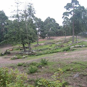 Helsinki Zoo - Wapiti exhibit