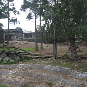 Helsinki Zoo - Takin exhibit