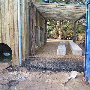 Giant Otter House construction work