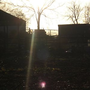 View of whats left at the now closed Grangewood