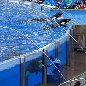Shamu Stadium - One Ocean