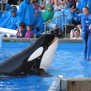 Shamu Stadium - One Ocean