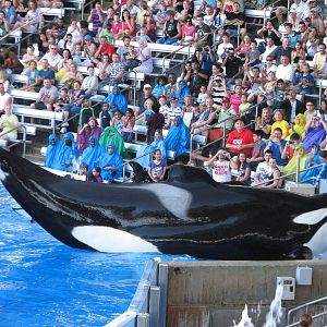Shamu Stadium - One Ocean