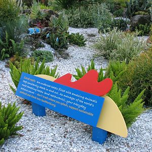 Animal Connections at SEAGarden - Coral Reef Interpretive Landscape