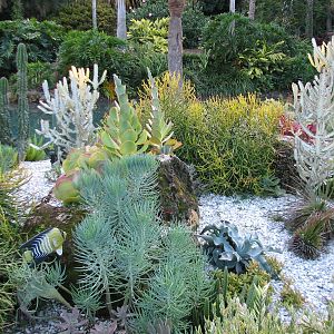 Animal Connections at SEAGarden - Coral Reef Interpretive Landscape