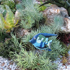 Animal Connections at SEAGarden - Coral Reef Interpretive Landscape