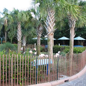 Animal Connections at SEAGarden - Chilean Flamingo Exhibit