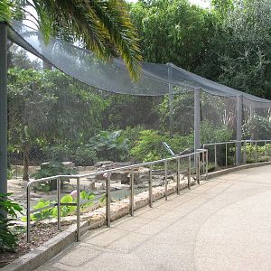 Aviary near Shark Encounter