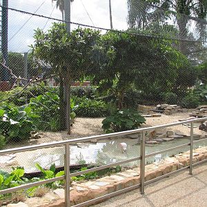 Aviary near Shark Encounter
