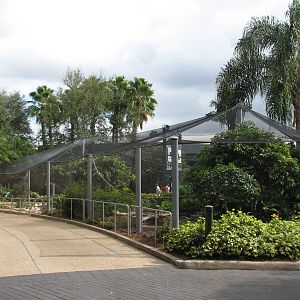 Aviary near Shark Encounter