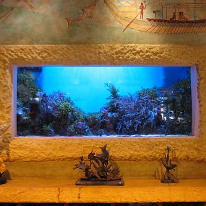 Journey To Atlantis - Golden Seahorse Shop Interior - Small Aquarium Tank B