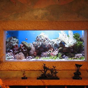 Journey To Atlantis - Golden Seahorse Shop Interior - Small Aquarium Tank B