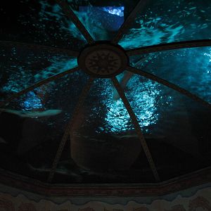 Journey To Atlantis - Jewels of the Sea Aquarium - Overhead Tank
