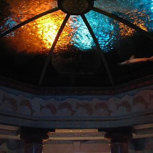 Journey To Atlantis - Jewels of the Sea Aquarium - Overhead Tank