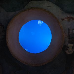 Journey To Atlantis - Jewels of the Sea Aquarium - Moon Jelly Exhibit (Smal