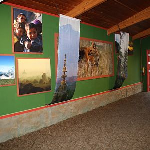 Dhole Hallway