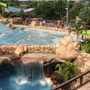 Aquatica - Dolphin Plunge - Overview