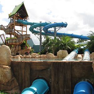 Aquatica - Dolphin Plunge - Waterslide Tower